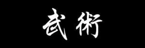 wushu-arte-marcial-sao-paulo-kung-fu-moema