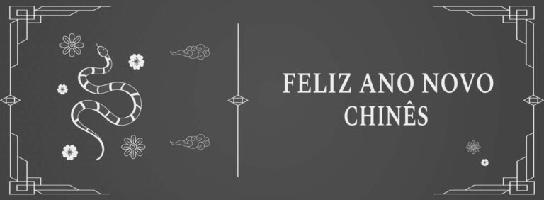 Kung Fu Ano da Serpente