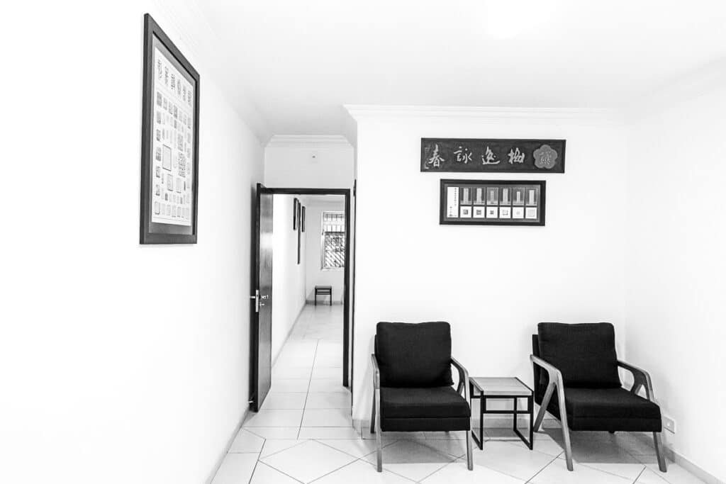 kung fu ving tsun wing chun arte marcial sao paulo brooklin moema itaim campo belo vila nova conceicao vila olimpia campo belo morumbi 18